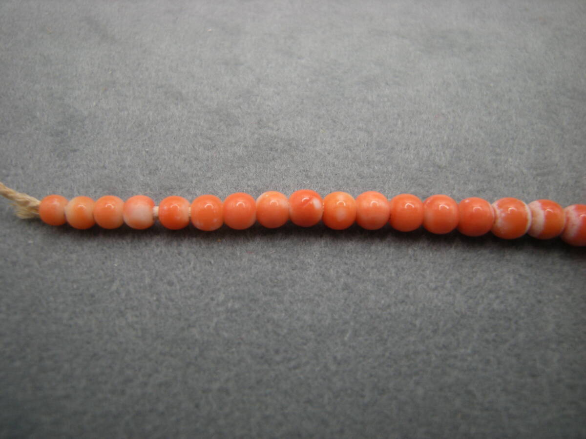  古い サンゴ 赤 珊瑚 羽織紐 髪飾り 帯留め 緒締... 2588_画像3