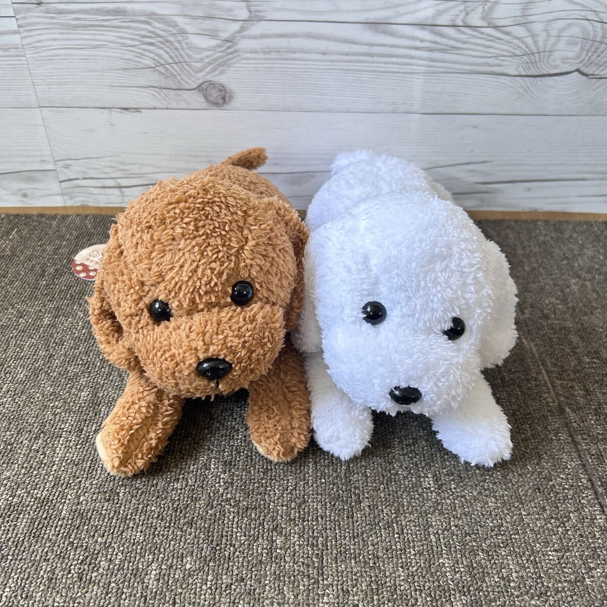 くつろぎわんこ トイプードル ぬいぐるみ 犬 トイプー 2個セット