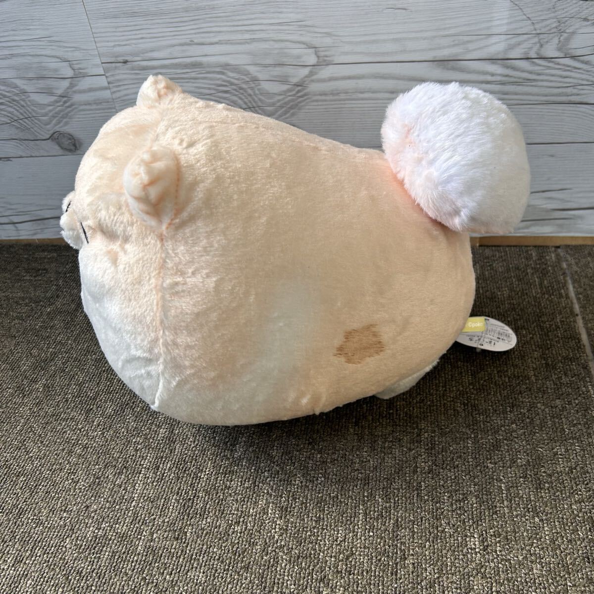 ふわふわポメのぽぽち BIGぬいぐるみ ポメラニアン 限定