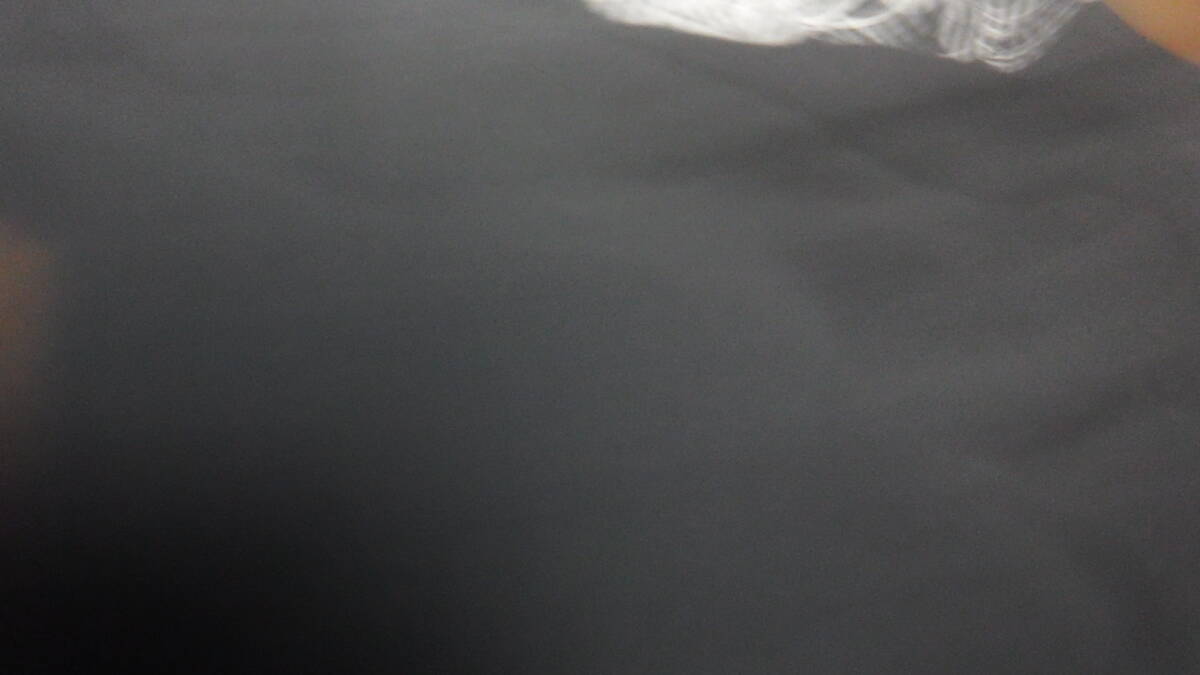 ROLING CRADLE　キン肉マン　コラボ　Tシャツ　Lサイズ　黒　40周年　アニバーサリー　サンボマスター　2019　四星球　10FEET　ロリクレ_画像7