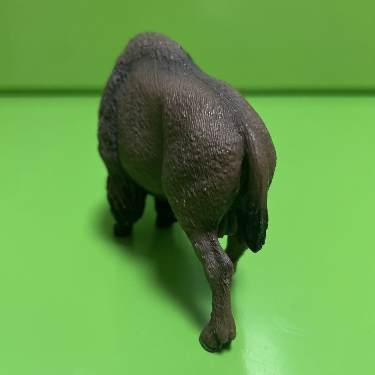 Schleich シュライヒ バイソン【定形外送料390円】動物 ミニチュア アニマル フィギュア_画像5