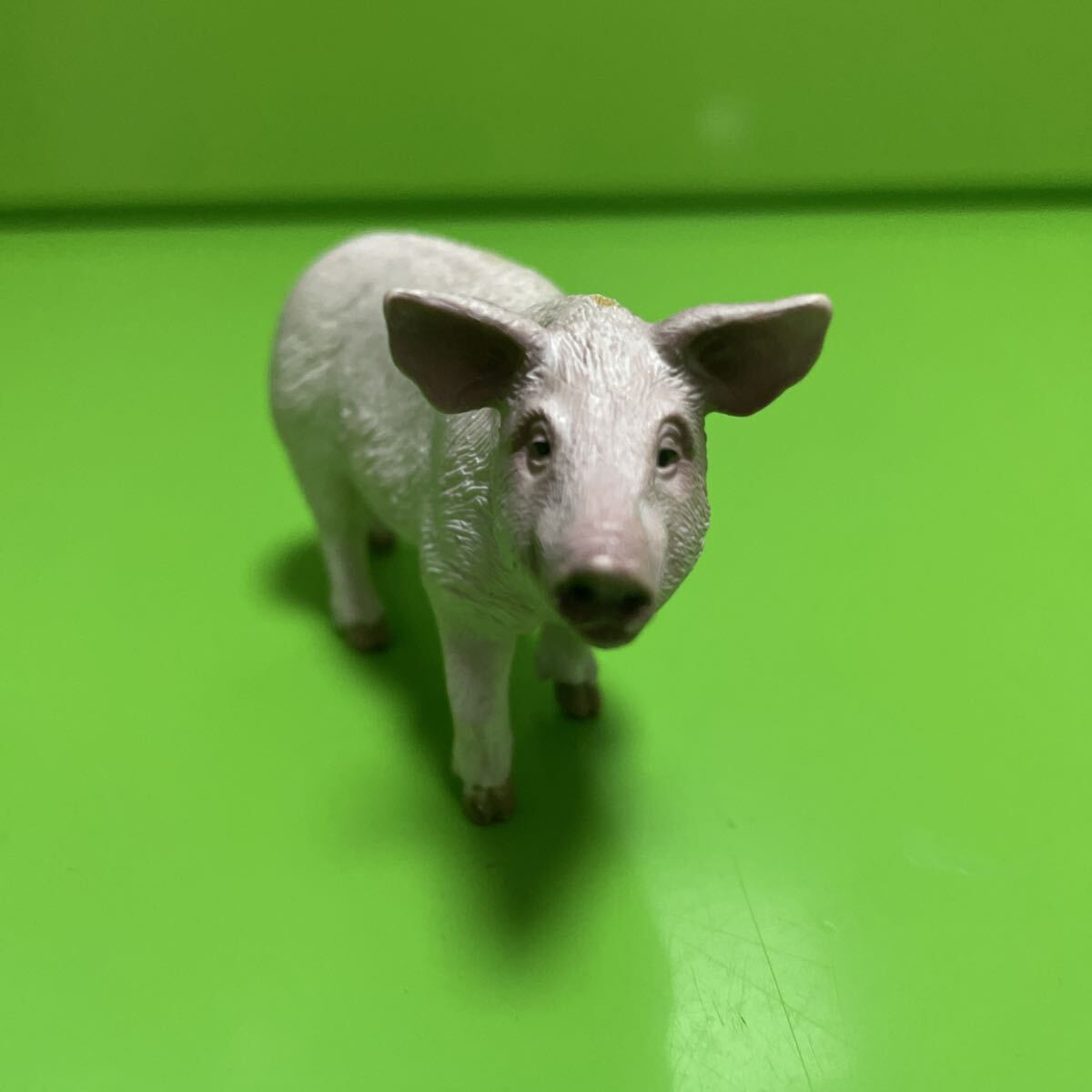 Schleich シュライヒ 豚 ブタ ぶた【定形外送料180円】動物 ミニチュア アニマル フィギュア_画像6