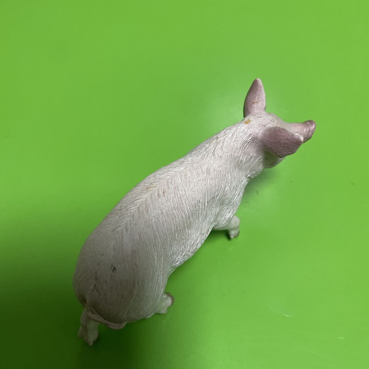 Schleich シュライヒ 豚 ブタ ぶた【定形外送料180円】動物 ミニチュア アニマル フィギュア_画像7