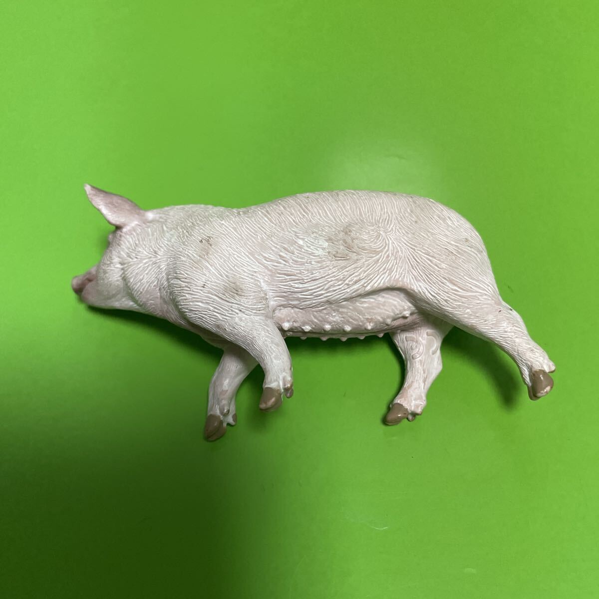 Schleich シュライヒ 豚 ブタ ぶた【定形外送料180円】動物 ミニチュア アニマル フィギュア_画像8