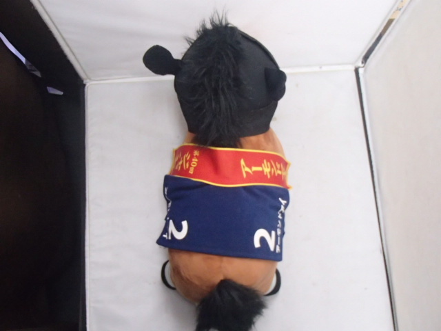 #72142【保管品】サラブレッドコレクション 第40回 ジャパンカップ アーモンドアイ BIG ぬいぐるみ タグ付き