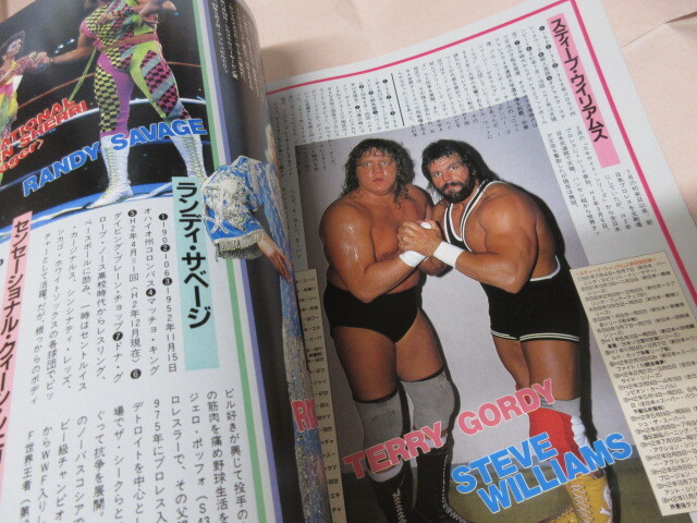 「週刊ゴング増刊　プロレスオールスタースーパーカタログ　’91」1991年12月　日本スポーツ出版社_画像5