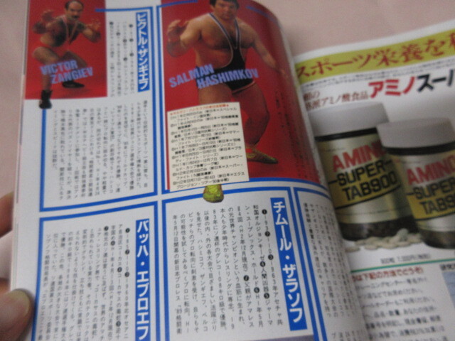 「週刊ゴング増刊　プロレスオールスタースーパーカタログ　’91」1991年12月　日本スポーツ出版社_画像9