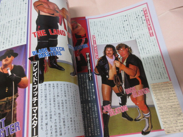 「週刊ゴング増刊　プロレスオールスタースーパーカタログ　’91」1991年12月　日本スポーツ出版社_画像7