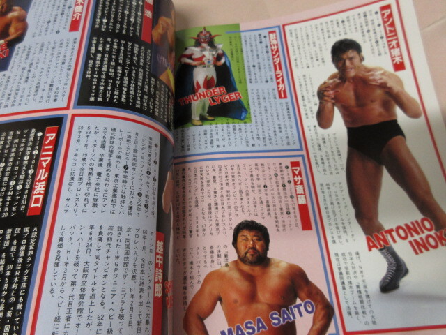 「週刊ゴング増刊　プロレスオールスタースーパーカタログ　’91」1991年12月　日本スポーツ出版社_画像10