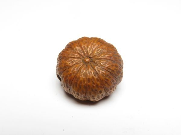 【11535】明治期　堤物　木製　かぼちゃ　緒締（初品・買取品）