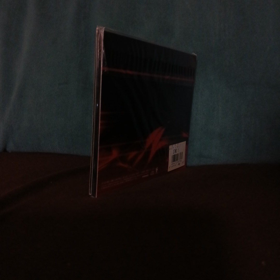 Loose Vision/Dear Loving　(Y2-587)_画像4