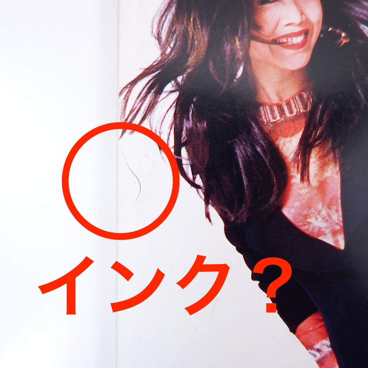 BRUTUS 1994年6月1日号「お姉様たちの恋愛録」夏木マリ りりィ アン・ルイス 風吹ジュン 中尾ミエ 欧陽菲菲 秋吉満ちる 大阪 ブルータス_画像5