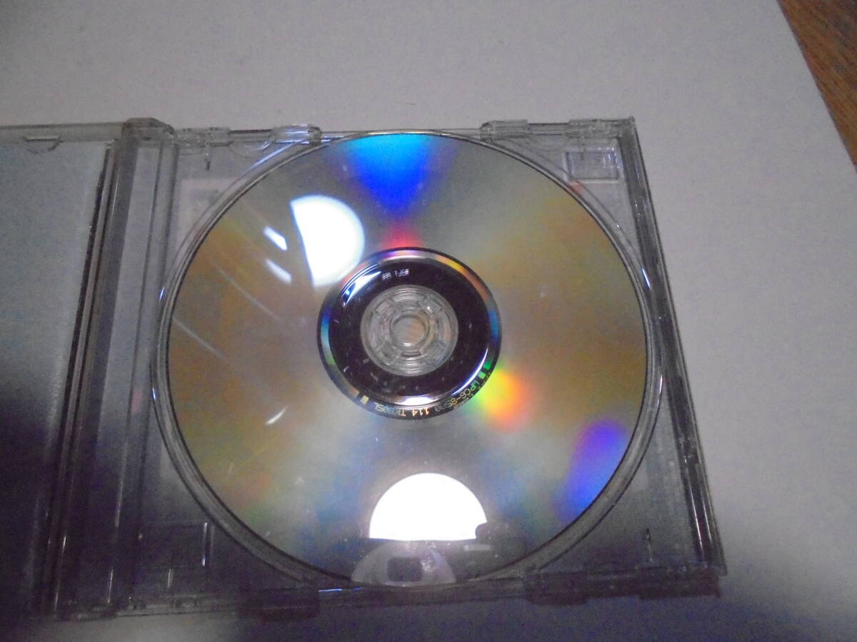 華原朋美　　ｎｉｎｅ　ｃｕｂｅｓ_画像3