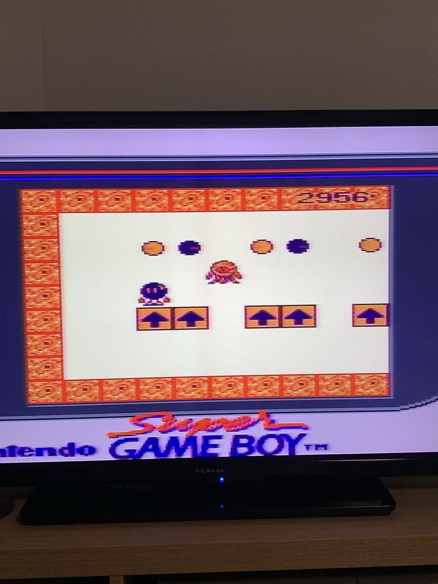 Nintendo 任天堂 GB ゲームボーイ ソフトのみ 華佗 中古 動作品