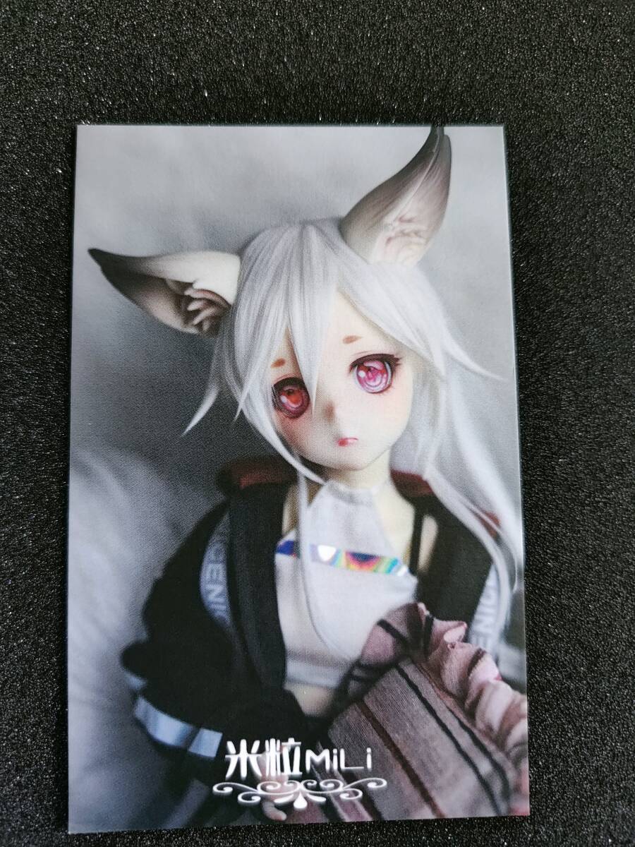 Mili Fullset 1/4 45cm DALK/Doll Zone