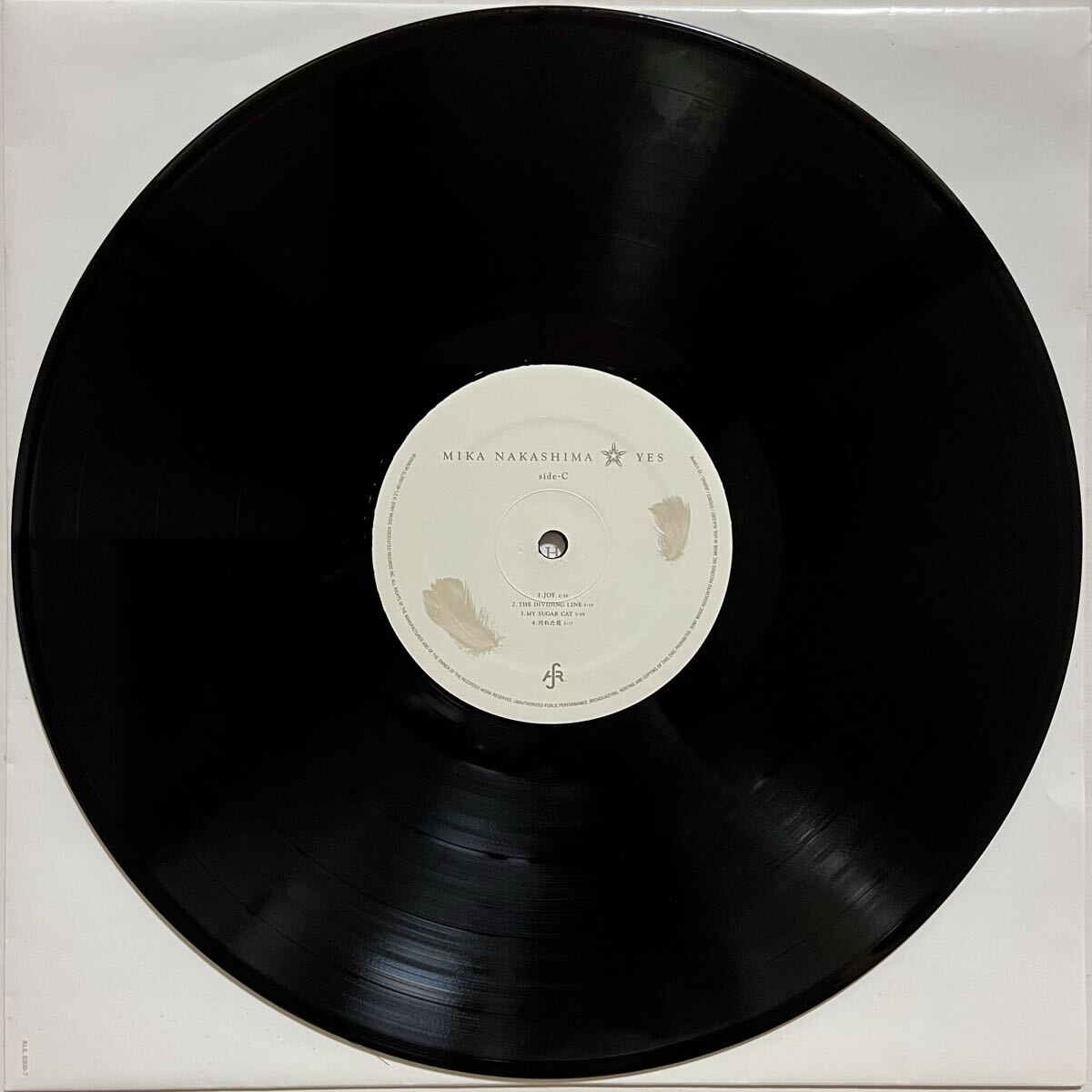 貴重 中島美嘉 YES 2枚組LP