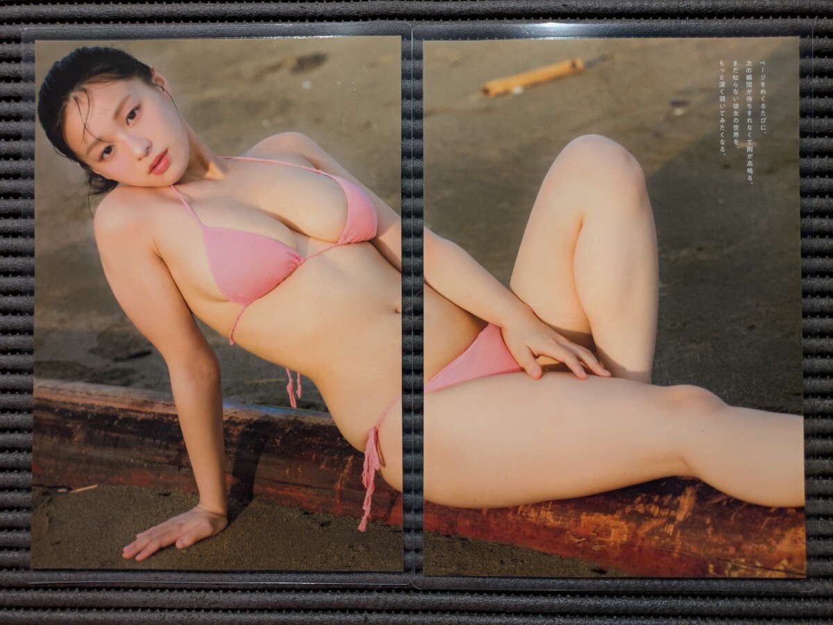 【厚手150μラミネート加工/髙野真央】プレイボーイ2025年No.40 切り抜き 8P