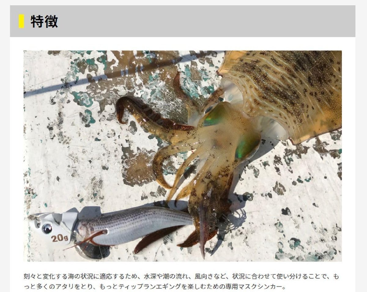 ヤマシタ(YAMASHITA) エギ王 TRシンカー 40g F 夜光_画像3