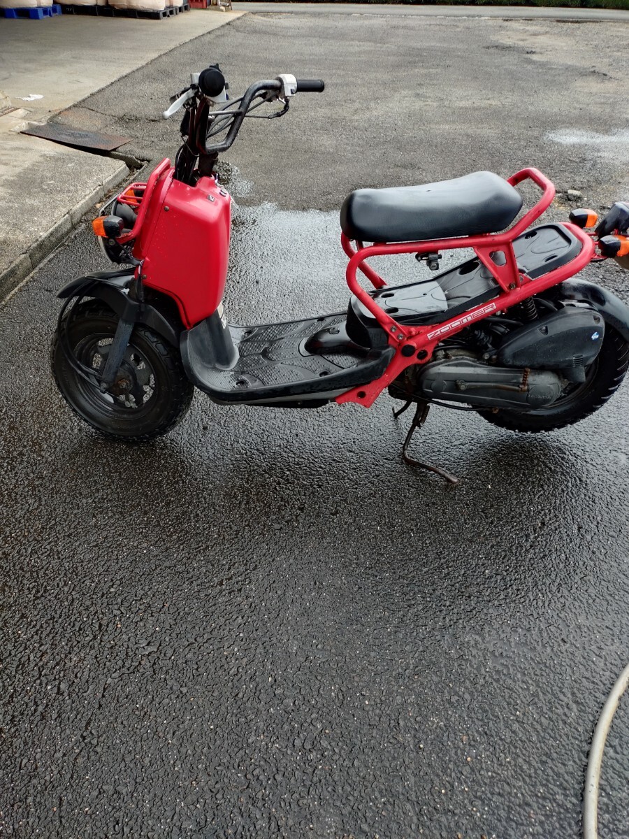 ホンダ ズーマー ZOOMER 50㏄ 原付　整備箇所多數(shù)
