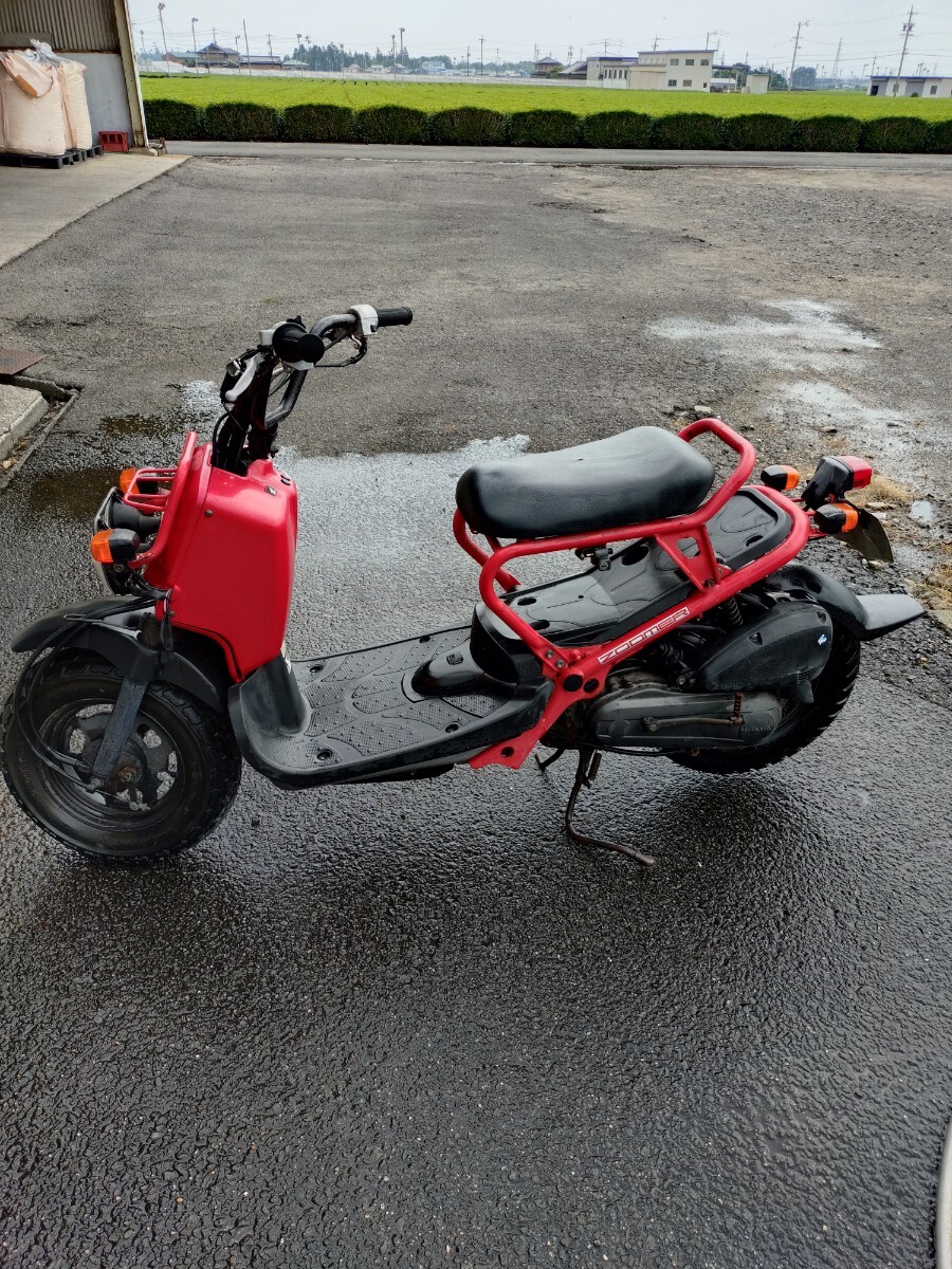 ホンダ ズーマー ZOOMER 50㏄ 原付　整備箇所多數(shù)