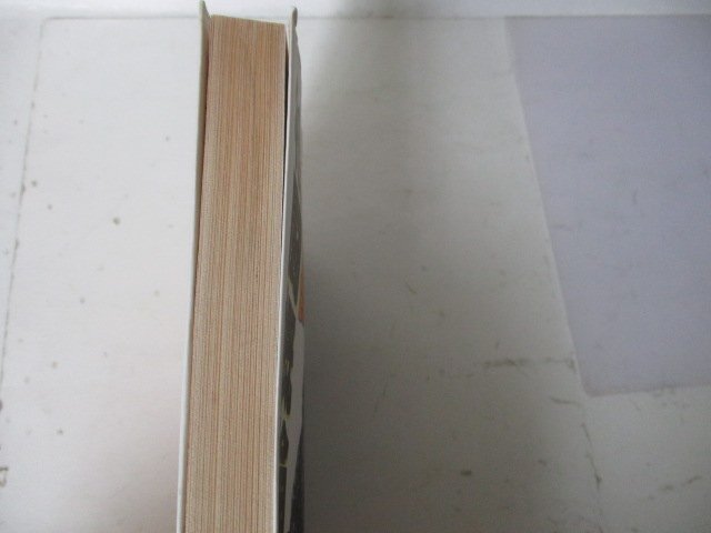 Ｔ?怪獣格闘概論?プラザ?1994