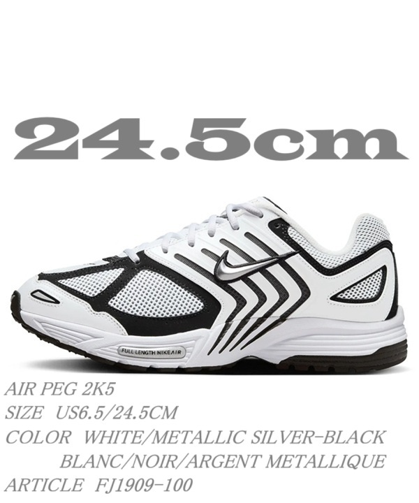 NIKE AIR PEG 2K5 FJ1909-100 エア ペガサス 白×黒 US6.5_画像1