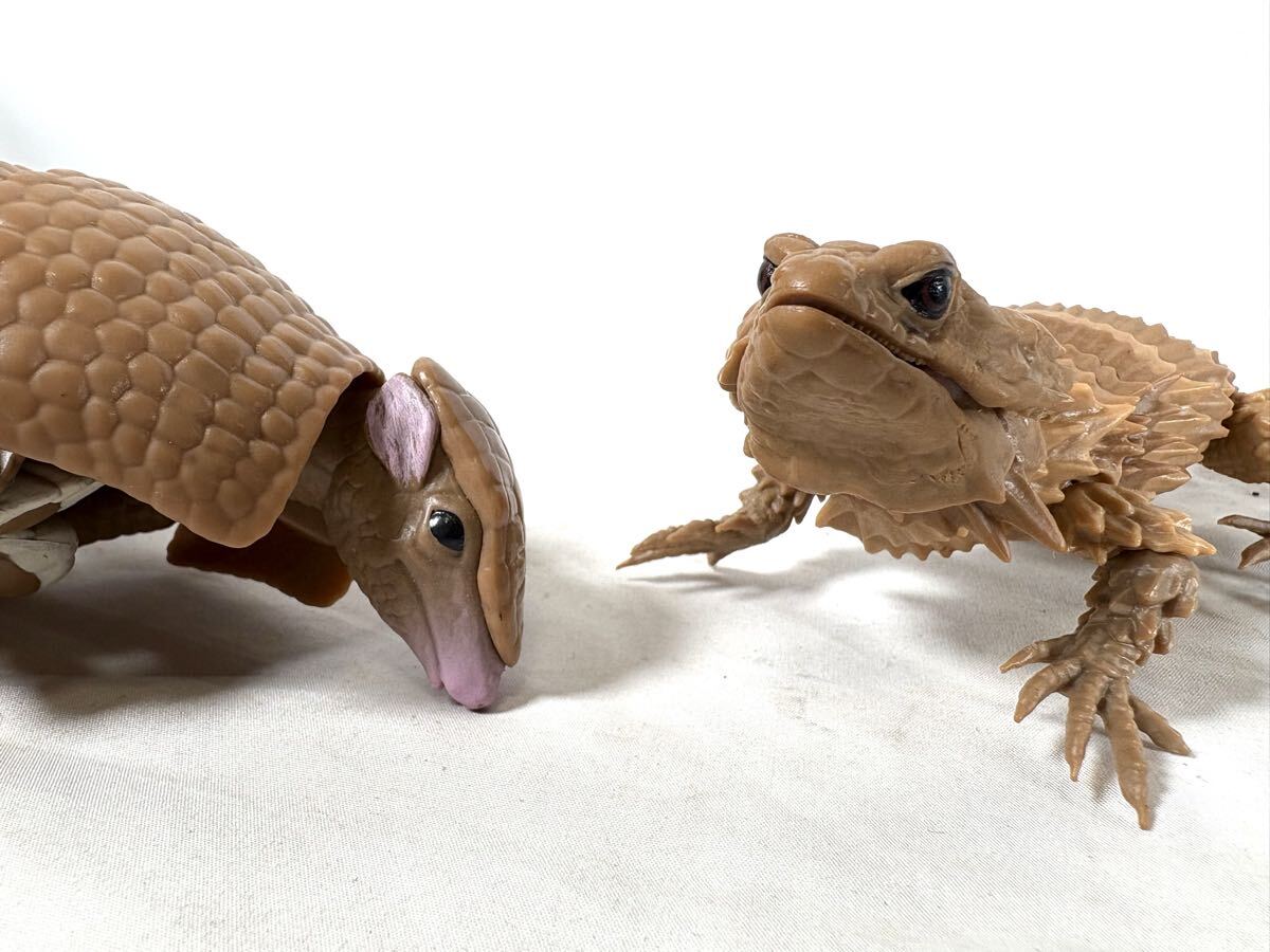 いきもの図鑑 アルマジロトカゲ ミツオビアルマジロ フィギュア 2点セット/可動式フィギュア/動物/コレクション/09-0066_画像5