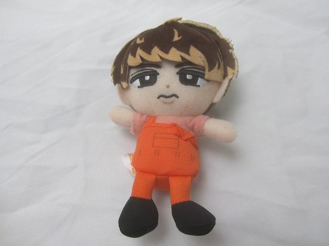 【同梱可】中古品 Snow Man 向井康二 1ST DOME tour 2023 I DO ME すのチルぶら下がりシリーズ ぬいぐるみVer._画像1