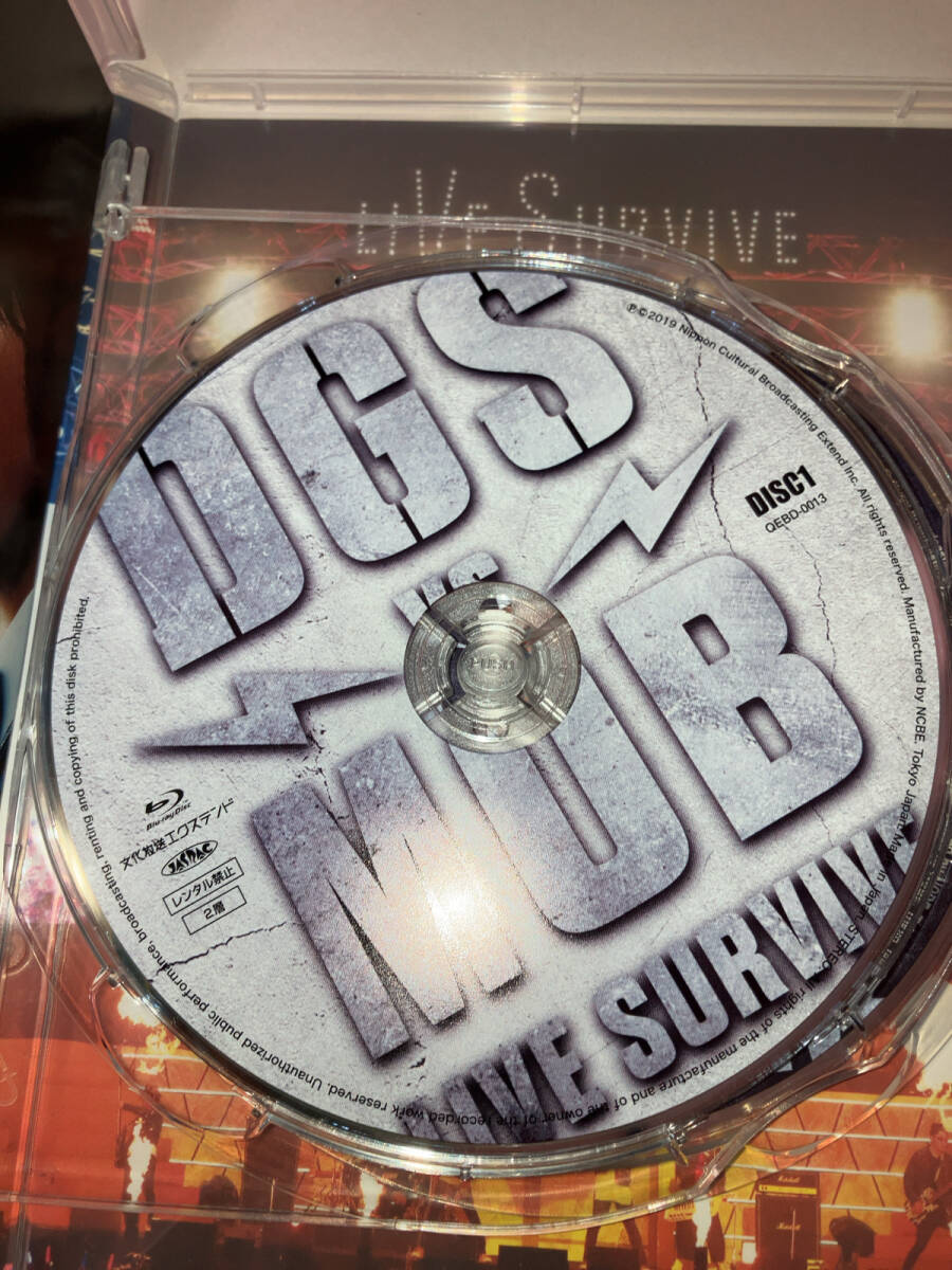 Blu-ray DGS VS MOB LIVE SURVIVE 神谷浩史 小野大輔_画像3