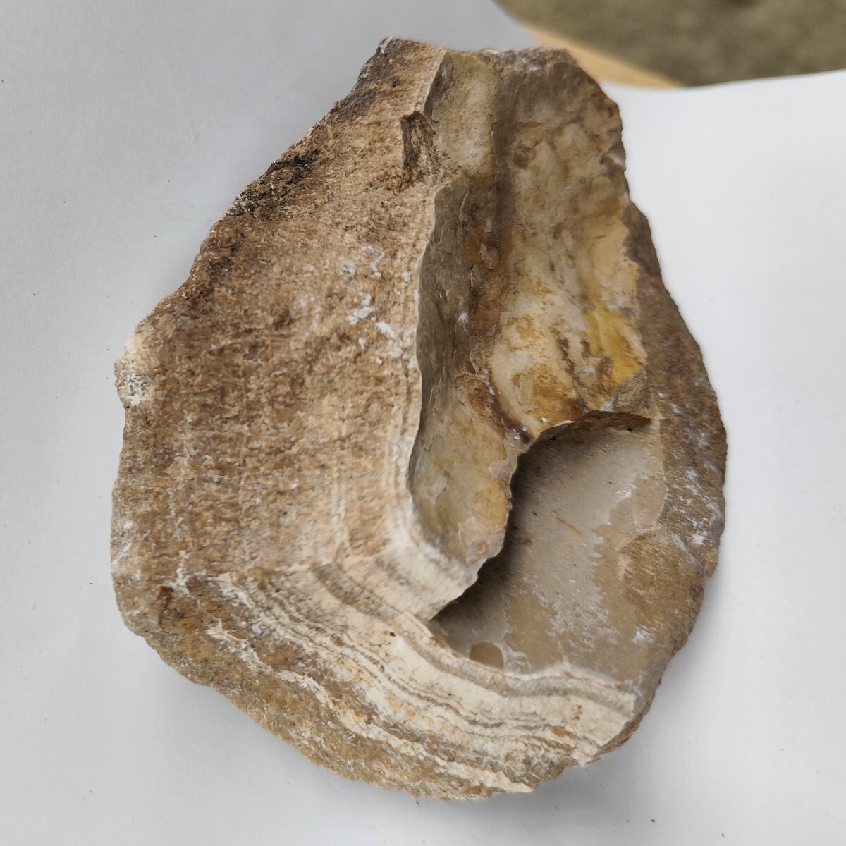 玉川温泉 北投石 ラジウム hokutolite 約1kg 日本 北投温泉 ほくとう