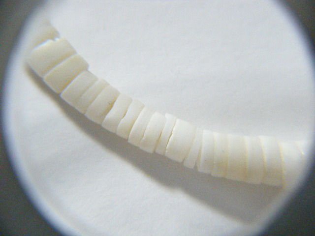 ★白珊瑚 白サンゴ ブレスレット 17cm アジャスター 3.5cm 【SA7】_画像7