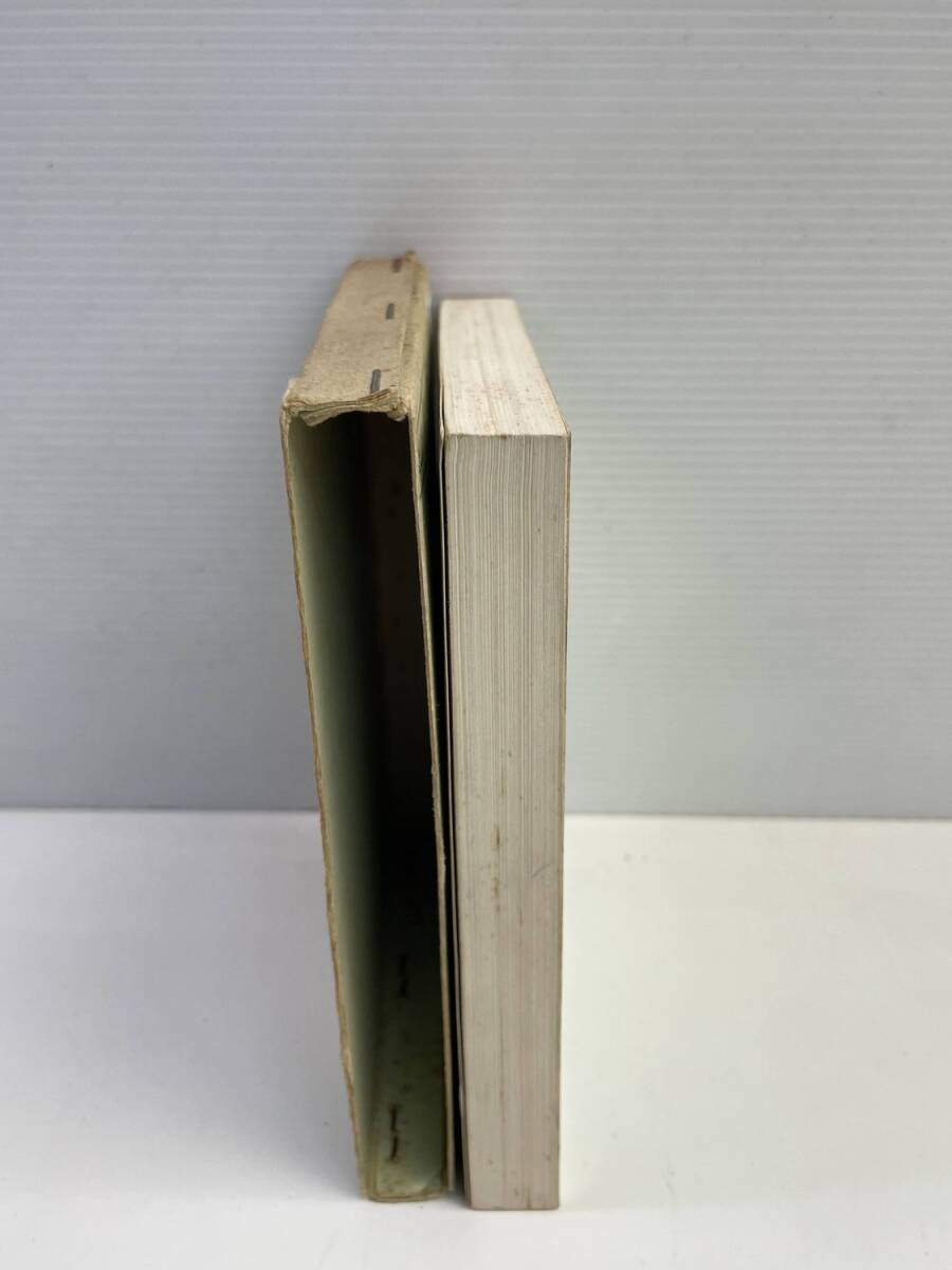 文庫本 椿姫 デュマ・フィス 石川県登志夫 昭和41年 1966年発行 初版【K179333】_画像2