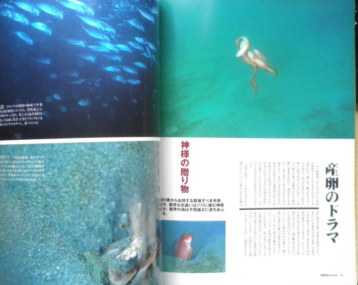 DIVING Photography ダイビングフォトグラフィー　2001年No.10　特集/BALI MAGIC　マリン企画　h_画像4