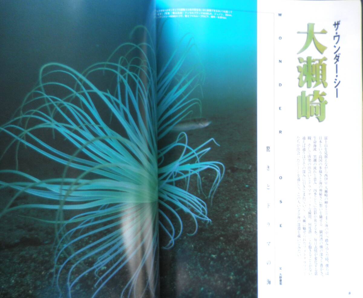 DIVING Photography ダイビングフォトグラフィー　2000年No.8　特集/ザ・ワンダー・ザ・シー大瀬崎　マリン企画　h_画像3