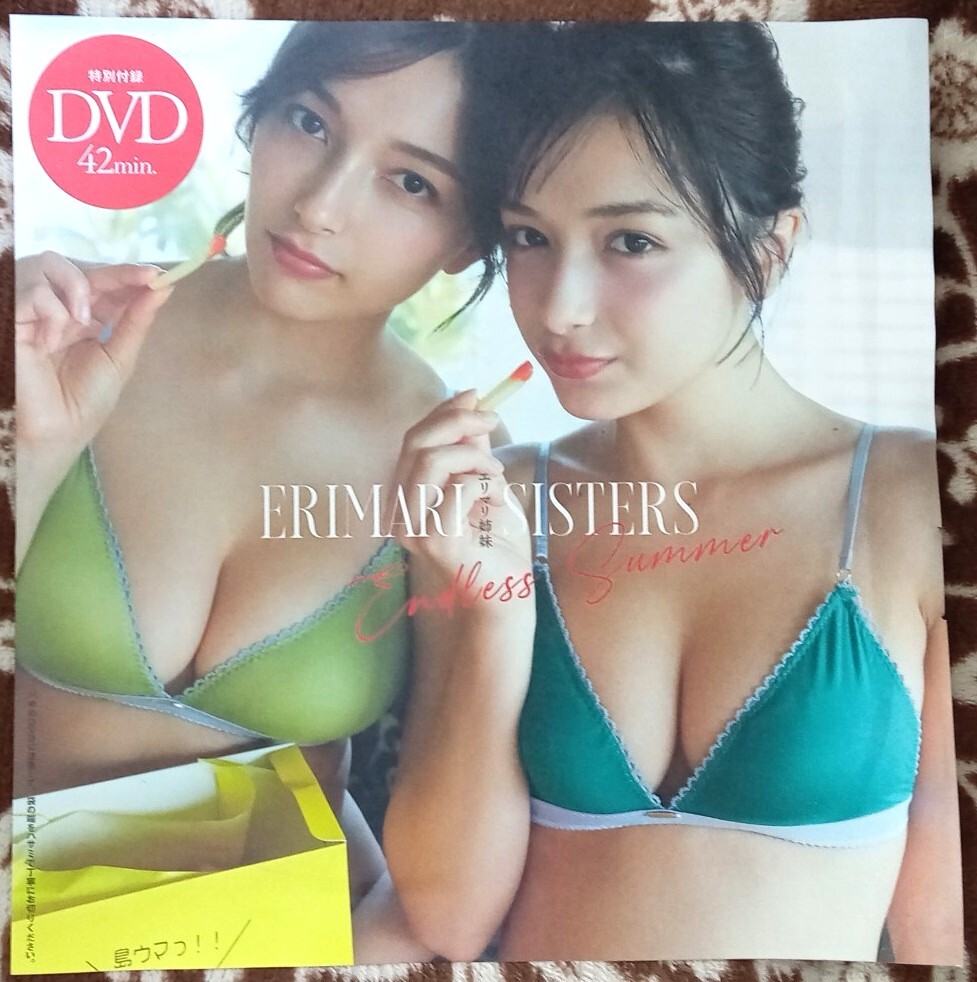 ☆週刊プレイボーイ付録DVD エリマリ姉妹 42min☆新品未開封品