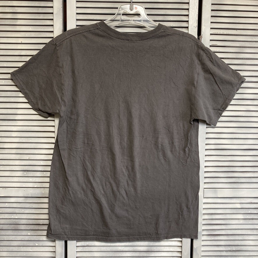 BLTX 1円スタート グレー ラップ Tシャツ アイスキューブ ヒップホップ ラッパー アーティスト 90s 00s ビンテージ 古著 卸 仕入れ