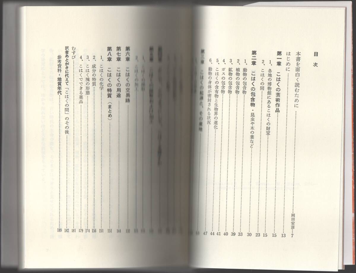★こはく その魅力の秘密★スレブロドリスキー (著), 岡田 安彦 (訳)★新読書社★クリックポスト★_画像5