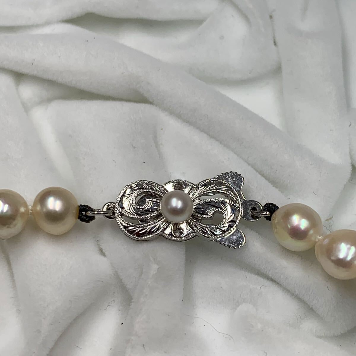 CACHE カシェ テリ最強 アコヤ あこや真珠 ブルーパール ネックレス CACHE カシェ テリ最強 アコヤ あこや真珠 ブルーパール ネックレス