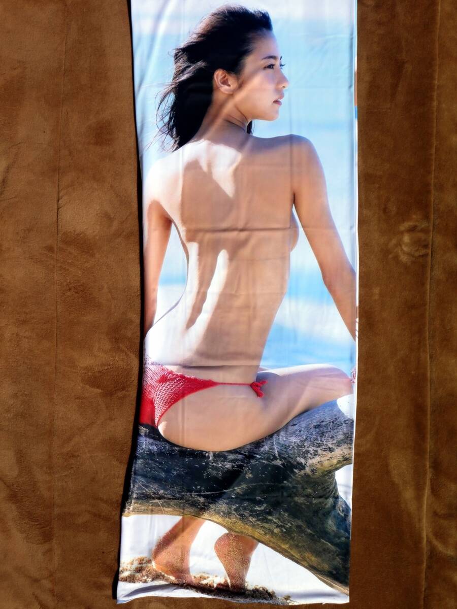 ☆新品・未開封品☆送料無料☆　石川恋　抱き枕カバー 160cm×50cm (両面印刷、ファスナー付) 2wayトリコット_画像4