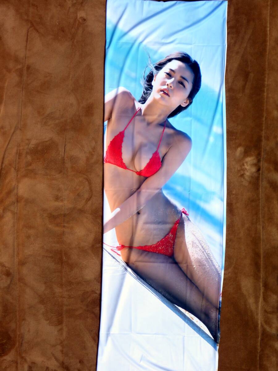 ☆新品・未開封品☆送料無料☆　石川恋　抱き枕カバー 160cm×50cm (両面印刷、ファスナー付) 2wayトリコット_画像5