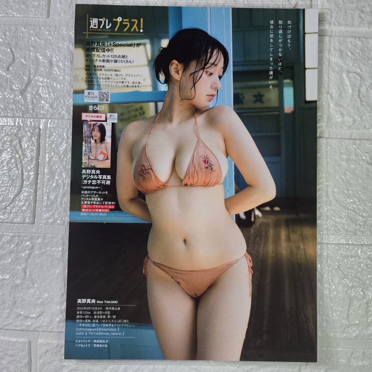 高野真央 B5【國(guó)産フィルム１５０μラミネート加工】プレイボーイ2025NO.40 水著 雑志切抜【グラビアアイドル】