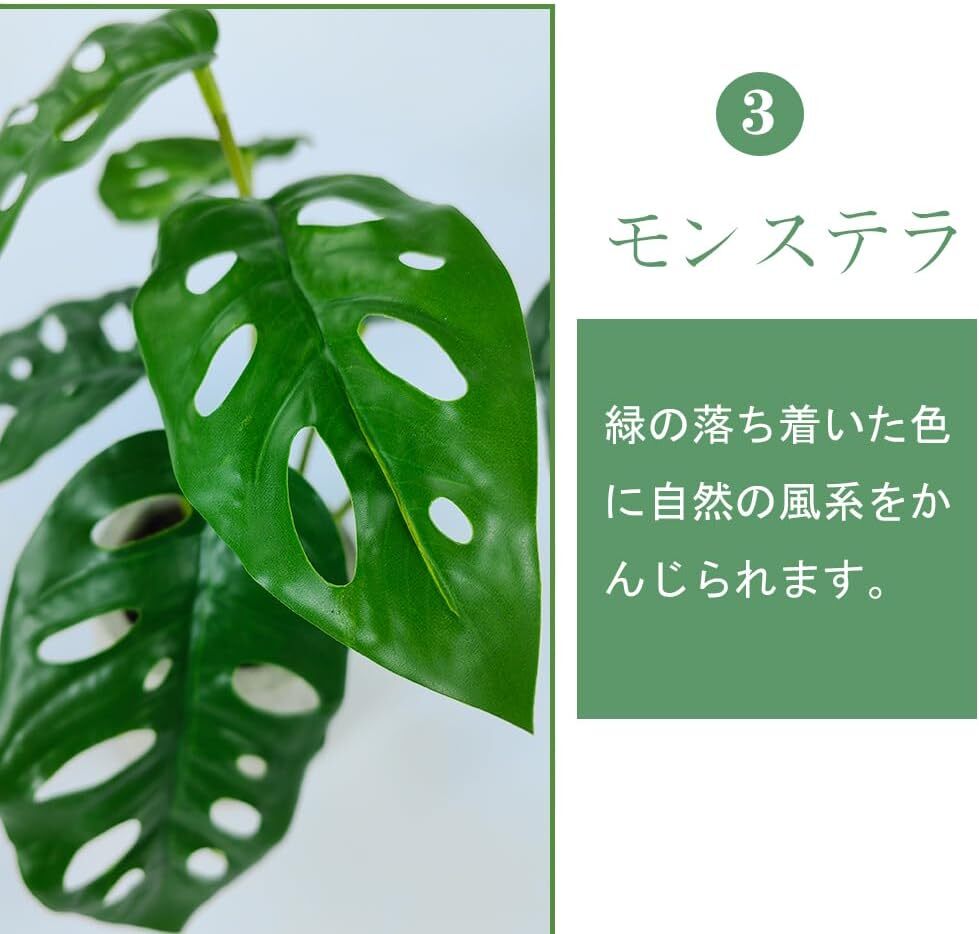 穴が空いていてリアル　観葉植物 フェイク 3點セット 人工観葉植物 モンステラ フェイクグリーン タロイモの葉 光觸媒 鉢植え