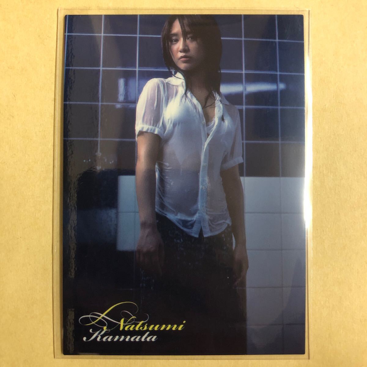  серп рисовое поле . Цу прекрасный 2009hitsu коллекционные карточки идол gravure карта купальный костюм бикини 022 звезда коллекционная карточка HIT's