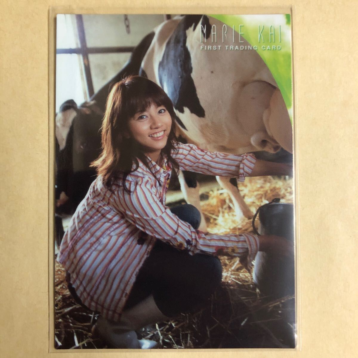 .....2008hitsu коллекционные карточки идол gravure карта 022 звезда коллекционная карточка HIT's Kamen Rider o-z/OOO