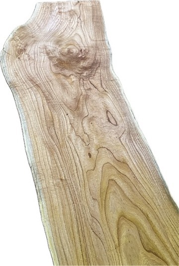 W0191036 センダン 杢 一枚板_画像5