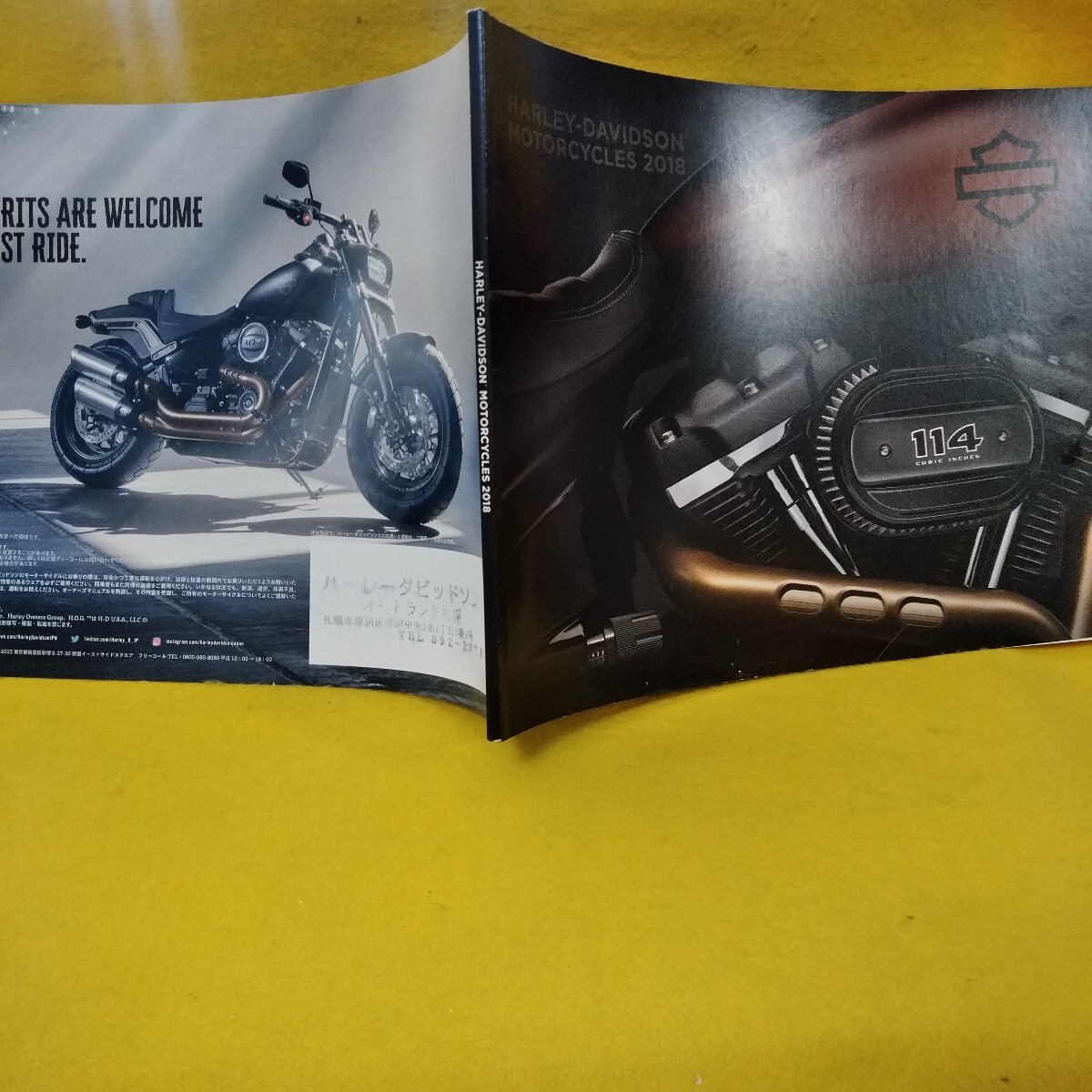 hh138[HARLEY- DAVIDSON MOTORCYCLES2018]*L12*070911