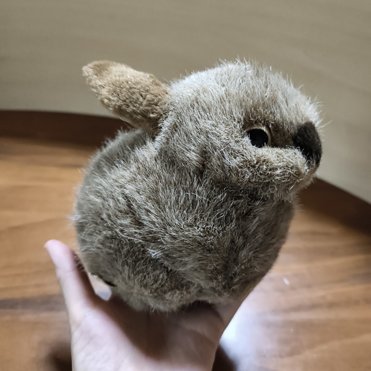 やまね工房 ぬいぐるみ　野うさぎの子　野ウサギ　動物　ハンドメイド作家　のうさぎ