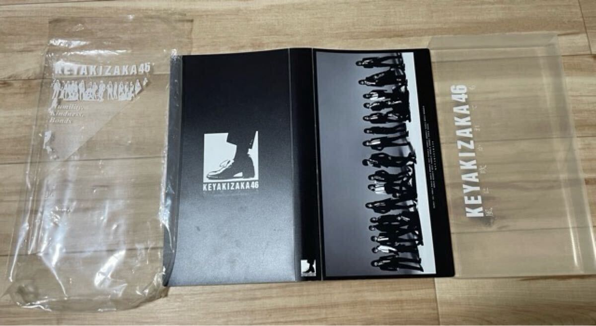 欅坂46 KEYAKIZAKA 風に吹かれても　フォトアルバム　渡辺梨加　ペーちゃん　写真　98枚　カード　4枚_画像2