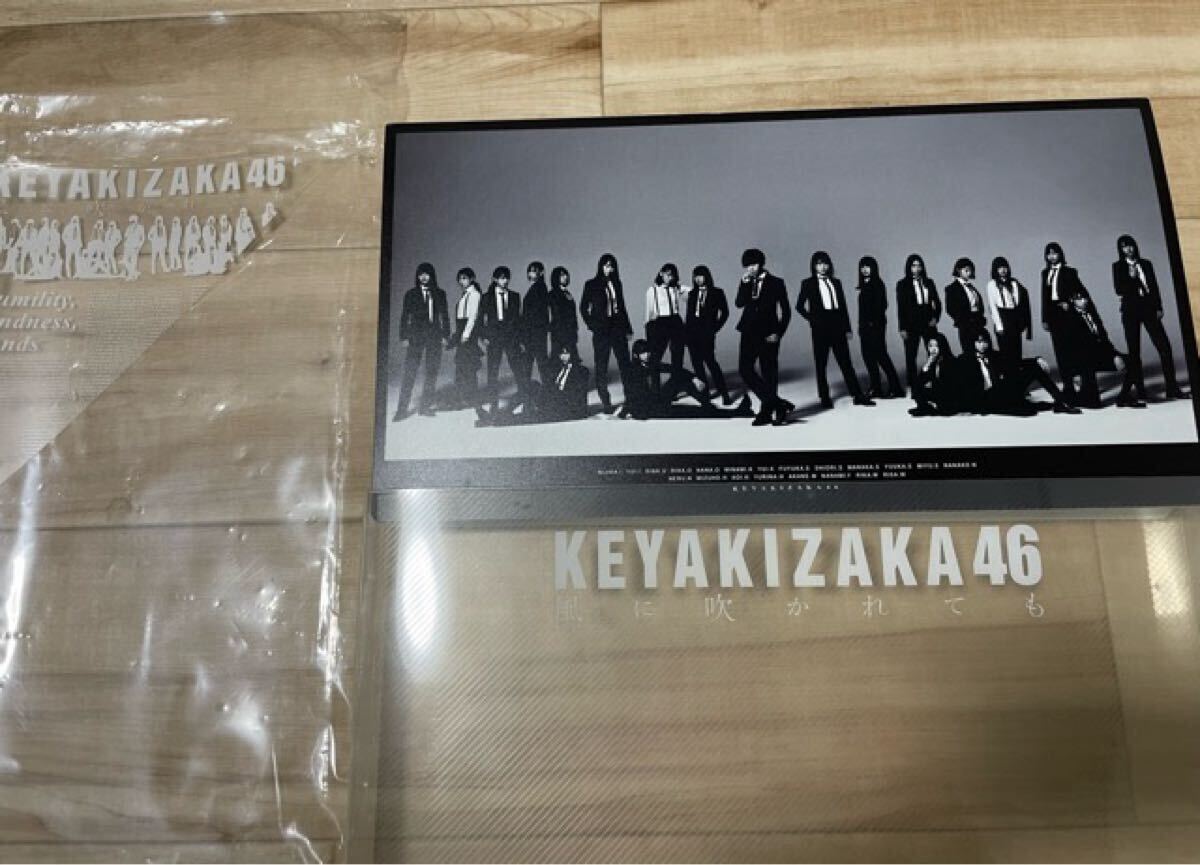 欅坂46 KEYAKIZAKA 風に吹かれても　フォトアルバム　渡辺梨加　ペーちゃん　写真　98枚　カード　4枚_画像1