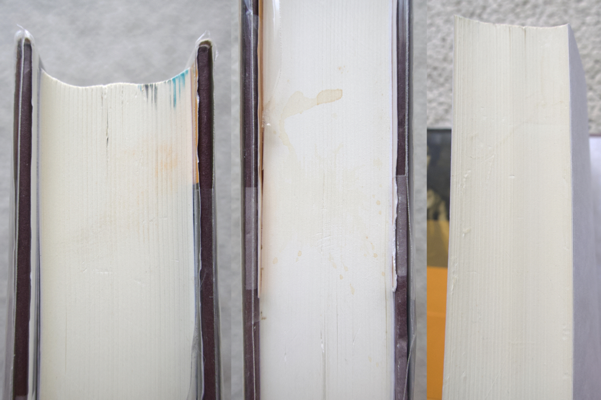 インセスト アナイス・ニンの愛の日記【無削除版】1932~1934 (彩流社) アナイス・ニン　杉崎和子編訳_画像7